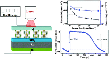 Graphical abstract: Self-powered broadband, high-detectivity and ultrafast photodetectors based on Pd-MoS2/Si heterojunctions
