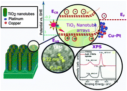 Graphical abstract: Interfacial band alignment for photocatalytic charge separation in TiO2 nanotube arrays coated with CuPt nanoparticles