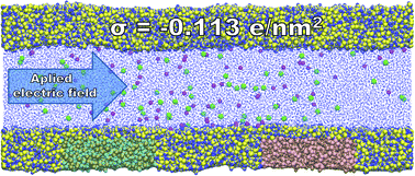 Graphical abstract: Wall embedded electrodes to modify electroosmotic flow in silica nanoslits