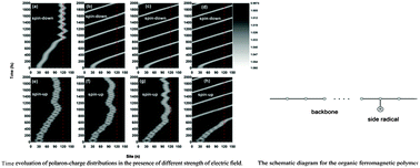 Graphical abstract: Polaron spin filtering in an organic ferromagnetic polymer: a dynamics simulation