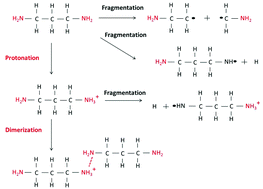 Graphical abstract: Chemical and physical processes in the retention of functional groups in plasma polymers studied by plasma phase mass spectroscopy