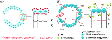 Graphical abstract: High-performance formaldehyde gas-sensors based on three dimensional center-hollow ZnO