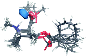 Graphical abstract: On the atomic structure of cocaine in solution