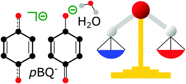 Graphical abstract: Transition energies of benzoquinone anions are immune to symmetry breaking by a single water molecule