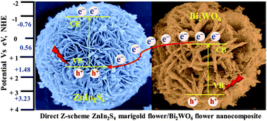 Graphical abstract: Fabrication of hierarchically structured novel redox-mediator-free ZnIn2S4 marigold flower/Bi2WO6 flower-like direct Z-scheme nanocomposite photocatalysts with superior visible light photocatalytic efficiency