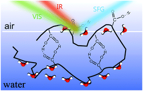 Graphical abstract: Heterodyne-detected sum frequency generation spectroscopy of polyacrylic acid at the air/water-interface