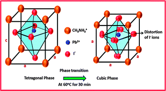 Graphical abstract: Phase transition kinetics and surface binding states of methylammonium lead iodide perovskite