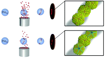 Graphical abstract: The impact of doping rates on the morphologies of silver and gold nanowires grown in helium nanodroplets