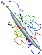 Graphical abstract: Intrinsic coordination for revealing local structural changes in protein folding–unfolding