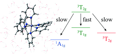 Graphical abstract: Insight into the light-induced spin crossover of [Fe(bpy)3]2+ in aqueous solution from molecular dynamics simulation of d–d excited states