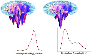 Graphical abstract: Universal statistical fluctuations in thermodynamics and kinetics of single molecular recognition