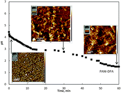 Graphical abstract: Assembly of polyaniline nanotubes by interfacial polymerization for corrosion protection