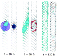 Graphical abstract: Probing ultrafast excitation energy transfer of the chlorosome with exciton–phonon variational dynamics