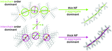 Graphical abstract: Formation and decay of charge carriers in aggregate nanofibers consisting of poly(3-hexylthiophene)-coated gold nanoparticles