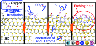 Graphical abstract: Tight-binding quantum chemical molecular dynamics simulations for the elucidation of chemical reaction dynamics in SiC etching with SF6/O2 plasma