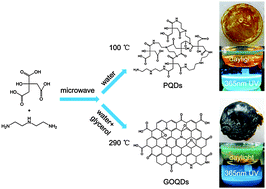 Graphical abstract: Preparation of graphene oxide and polymer-like quantum dots and their one- and two-photon induced fluorescence properties