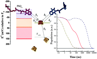 Graphical abstract: Comparative kinetic and energetic modelling of phyllosemiquinone oxidation in Photosystem I