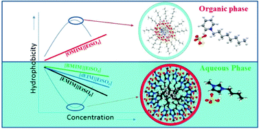 Graphical abstract: Concentration-dependent apparent partition coefficients of ionic liquids possessing ethyl- and bi-sulphate anions