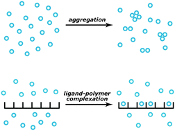 Graphical abstract: Hidden entropic contribution in the thermodynamics of molecular complexation