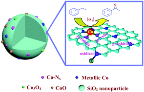 Graphical abstract: Influence of cobalt species on the catalytic performance of Co-N-C/SiO2 for ethylbenzene oxidation