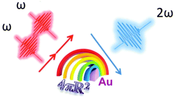 Graphical abstract: Optimization of second harmonic generation of gold nanospheres and nanorods in aqueous solution: the dominant role of surface area