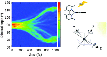 Graphical abstract: Ultrafast structural flattening motion in photoinduced excited state dynamics of a bis(diimine) copper(i) complex