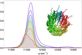 Graphical abstract: Polaronic effects at finite temperatures in the B850 ring of the LH2 complex