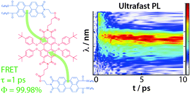 Graphical abstract: Quantifying highly efficient incoherent energy transfer in perylene-based multichromophore arrays