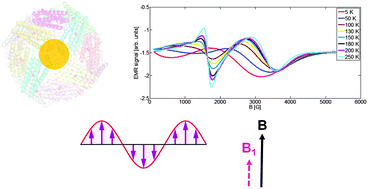 Graphical abstract: Sensing the quantum behaviour of magnetic nanoparticles by electron magnetic resonance