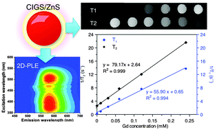 Graphical abstract: Synthesis of magnetofluorescence Gd-doped CuInS2/ZnS quantum dots with enhanced longitudinal relaxivity