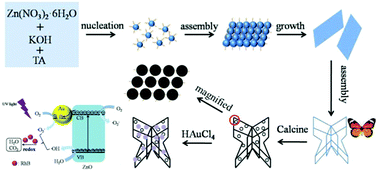 Graphical abstract: Synthesis of butterfly-like ZnO nanostructures and study of their self-reducing ability toward Au3+ ions for enhanced photocatalytic efficiency