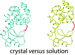 Graphical abstract: Analysis of the solution conformations of T4 lysozyme by paramagnetic NMR spectroscopy