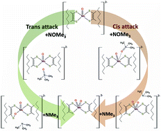 Graphical abstract: Mechanistic investigation of trimethylamine-N-oxide reduction catalysed by biomimetic molybdenum enzyme models