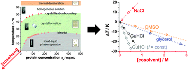 Graphical abstract: Tuning protein–protein interactions using cosolvents: specific effects of ionic and non-ionic additives on protein phase behavior