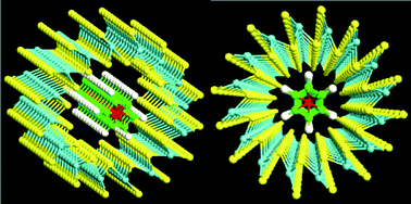 Graphical abstract: Electronic and transport properties of the (VBz)n@MoS2NT nanocable