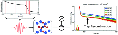 Graphical abstract: Spectral dependence of direct and trap-mediated recombination processes in lead halide perovskites using time resolved microwave conductivity