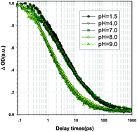 Graphical abstract: Ultrafast carrier dynamics of carbon nanodots in different pH environments