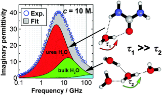 Graphical abstract: Urea hydration from dielectric relaxation spectroscopy: old findings confirmed, new insights gained