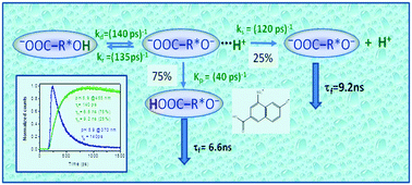 Graphical abstract: Controlling reactivity by remote protonation of a basic side group in a bifunctional photoacid