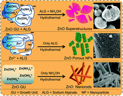Graphical abstract: Rational design of hierarchical ZnO superstructures for efficient charge transfer: mechanistic and photovoltaic studies of hollow, mesoporous, cage-like nanostructures with compacted 1D building blocks