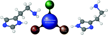 Graphical abstract: Gas phase equilibrium structure of histamine