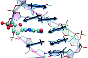 Graphical abstract: The effect of sequence on the ionization of guanine in DNA