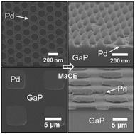 Graphical abstract: Formation of GaP nanocones and micro-mesas by metal-assisted chemical etching