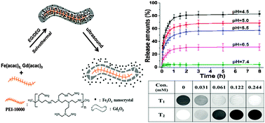 Graphical abstract: A polyethylenimine functionalized porous/hollow nanoworm as a drug delivery system and a bioimaging agent