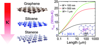 Graphical abstract: Diffusive nature of thermal transport in stanene