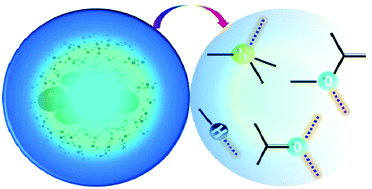 Graphical abstract: Electronic structures of intermolecular hydrogen bond contacts with solute in aqueous solution: glycine as a working prototype