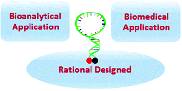Graphical abstract: Rationally designed molecular beacons for bioanalytical and biomedical applications