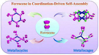 Graphical abstract: Construction of multiferrocenyl metallacycles and metallacages via coordination-driven self-assembly: from structure to functions