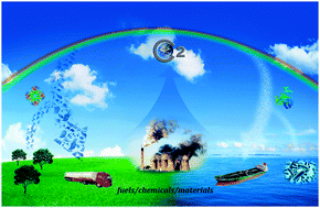 Graphical abstract: Enzymatic conversion of carbon dioxide