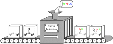 Graphical abstract: Sulfur imidations: access to sulfimides and sulfoximines